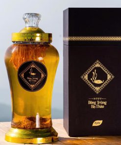 Rượu Đông Trùng Hạ Thảo